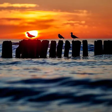 Whiteblue 56 Blizej Morza Apartmán Kolobřeh