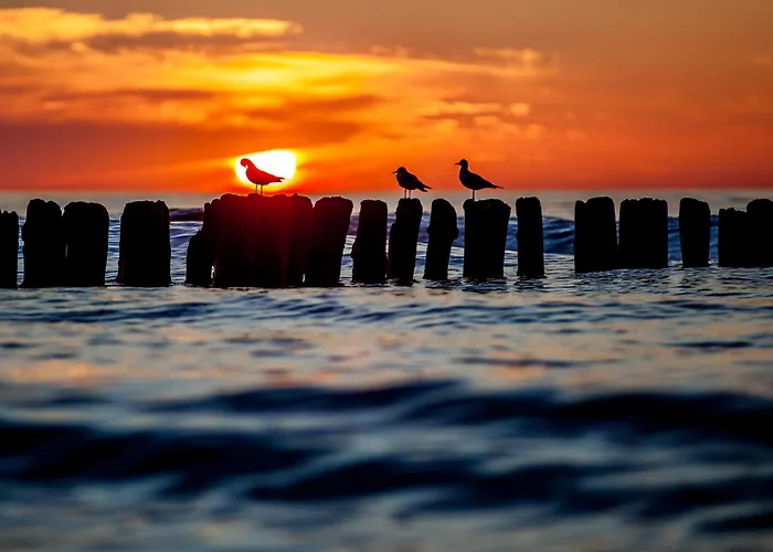 Whiteblue 56 Blizej Morza Apartmán Kolobřeh